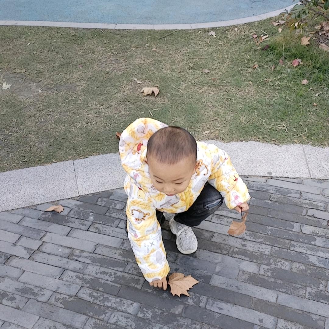 小鲤鱼