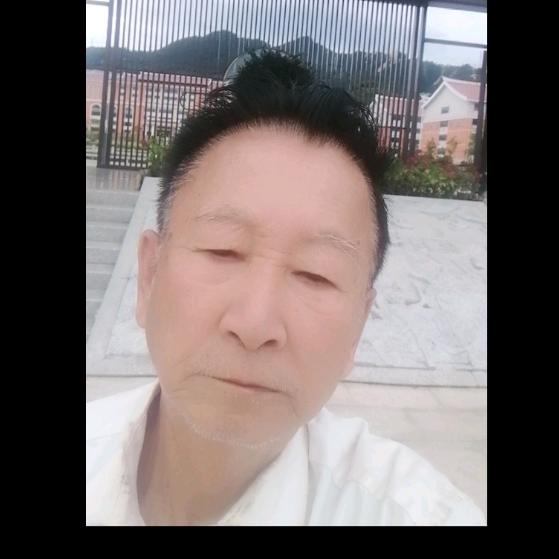 龙