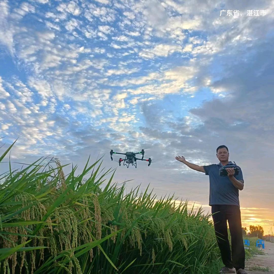 廉江无人机打药韩高叔