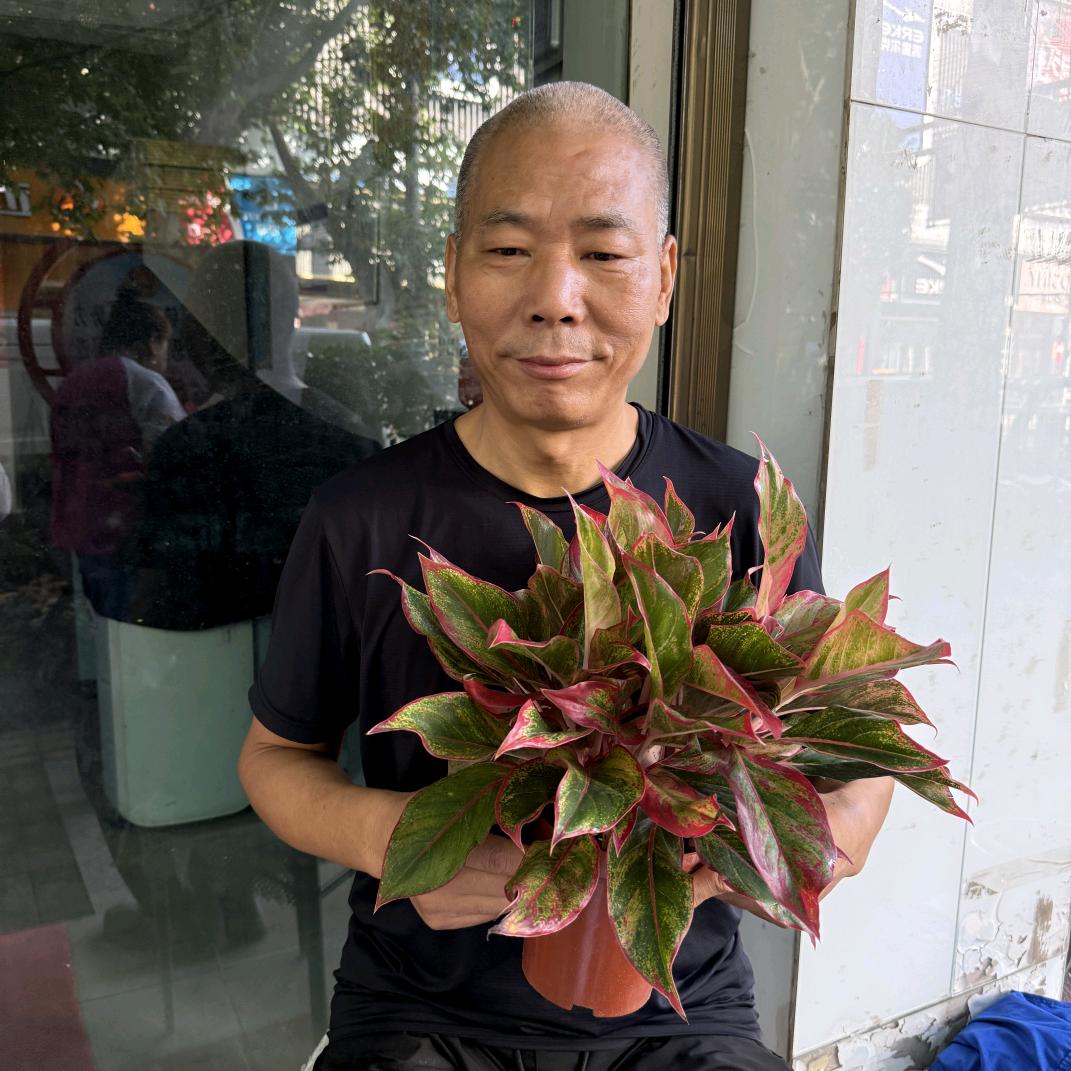 花艺师
