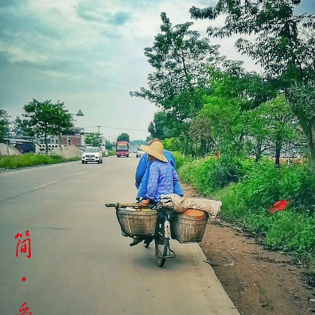 楼哥