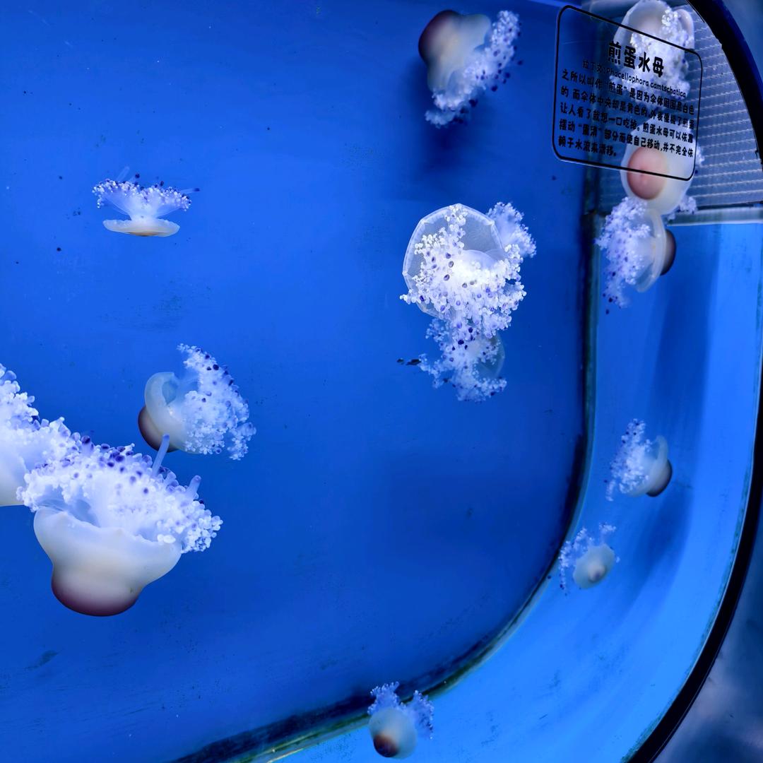 漂洋过海
