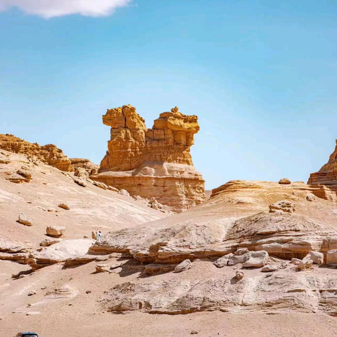 煜博鱼缸造景设计工作室