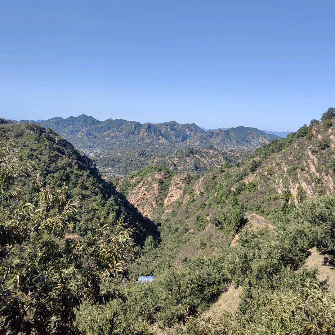 青龙福地养殖人