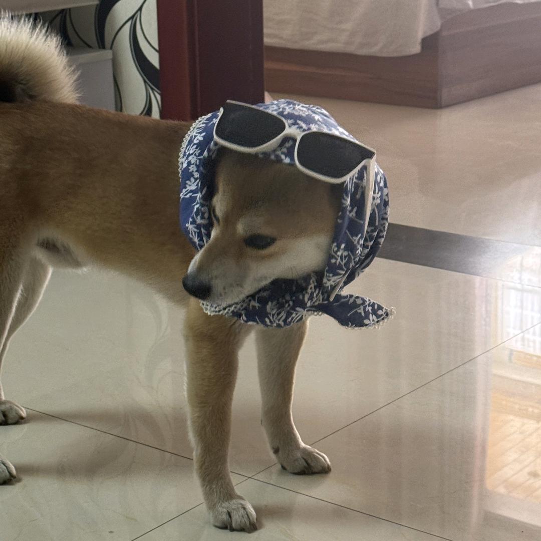 阿氿