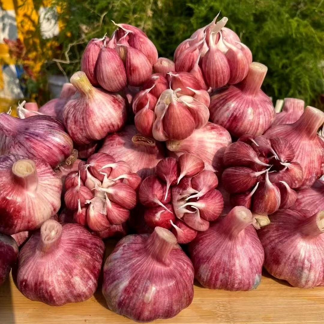 云南农产果蔬店