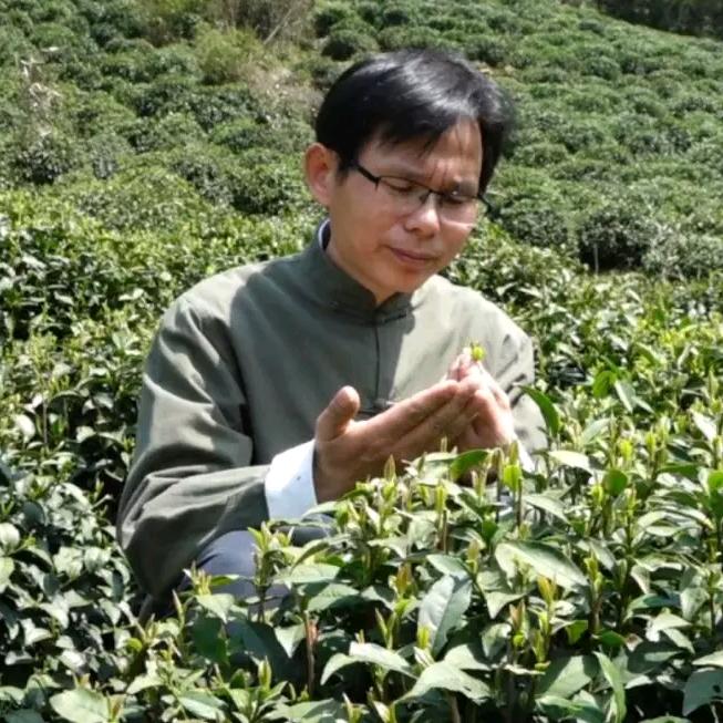 非遗寻茶记