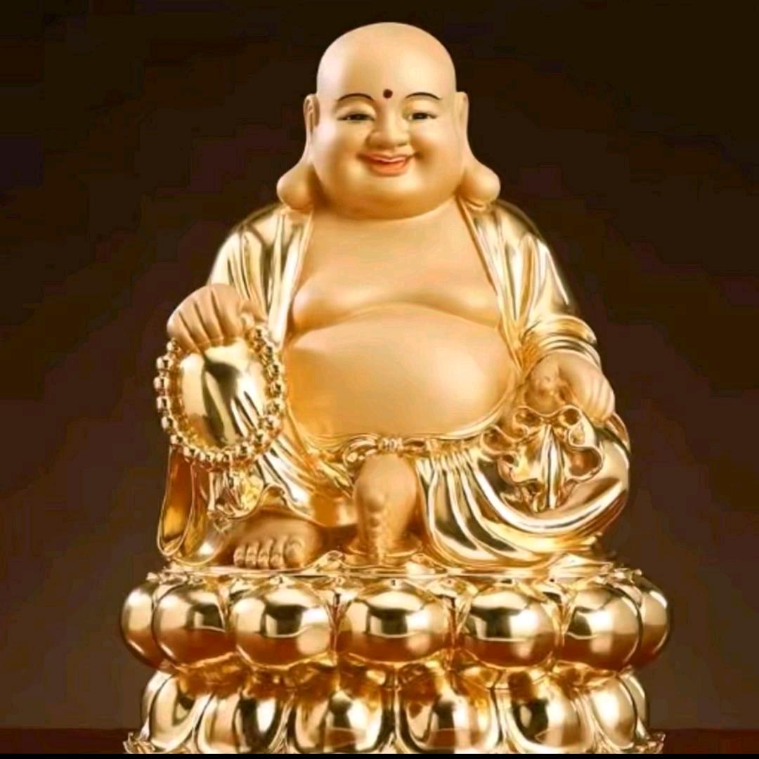 福慧《好物在橱窗》