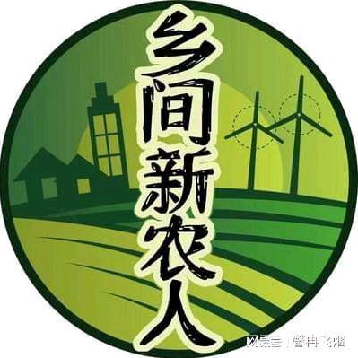 一半清醒一半醉一半倔犟一半跪