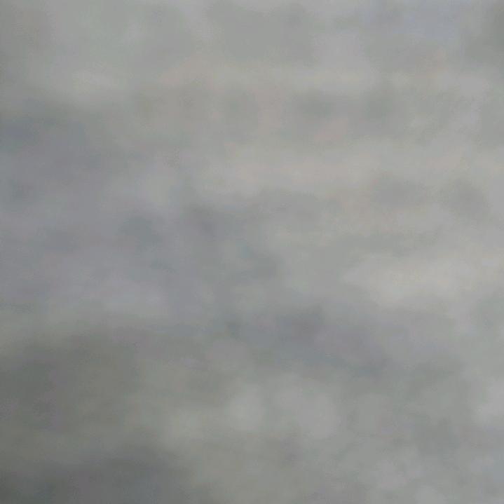 黑黑.