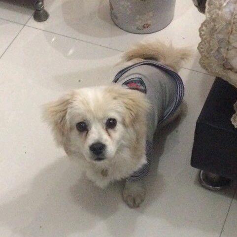 日免日免🌙🍔🥩🍰🍨🍉