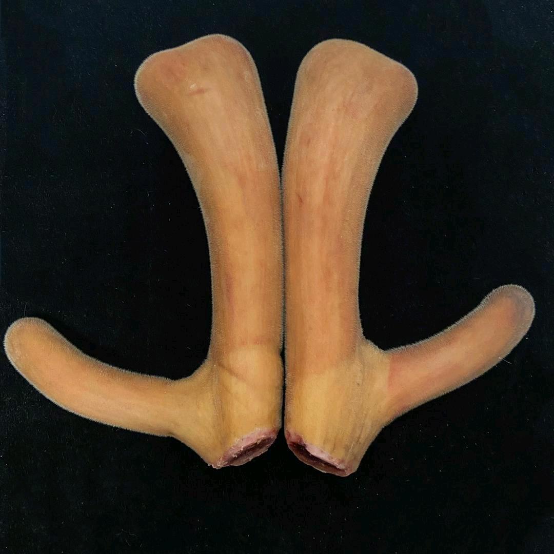 鹿仙子商行