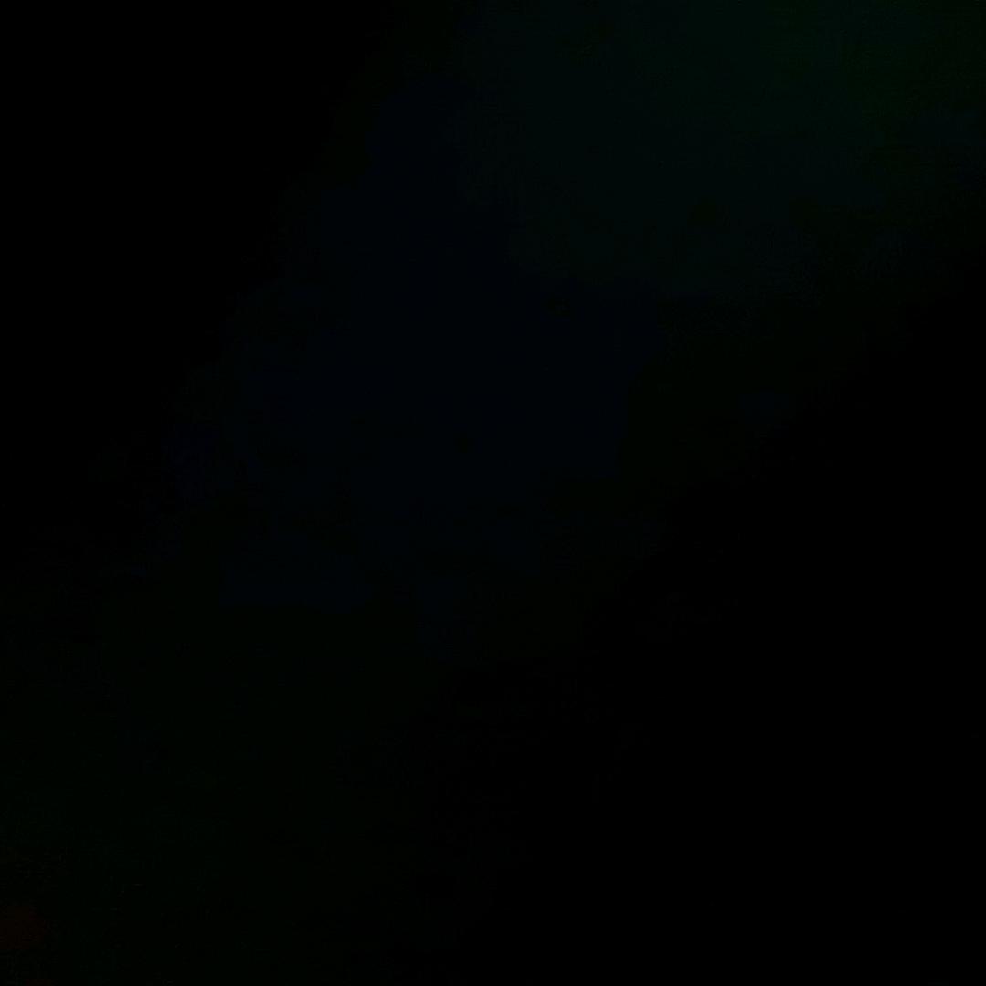 秦z