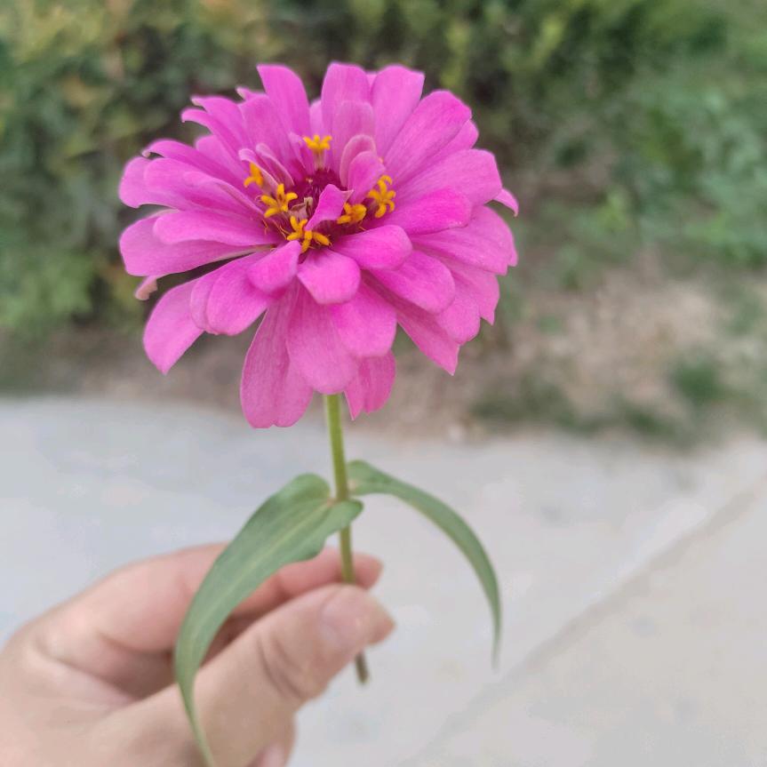 不发胖只发财