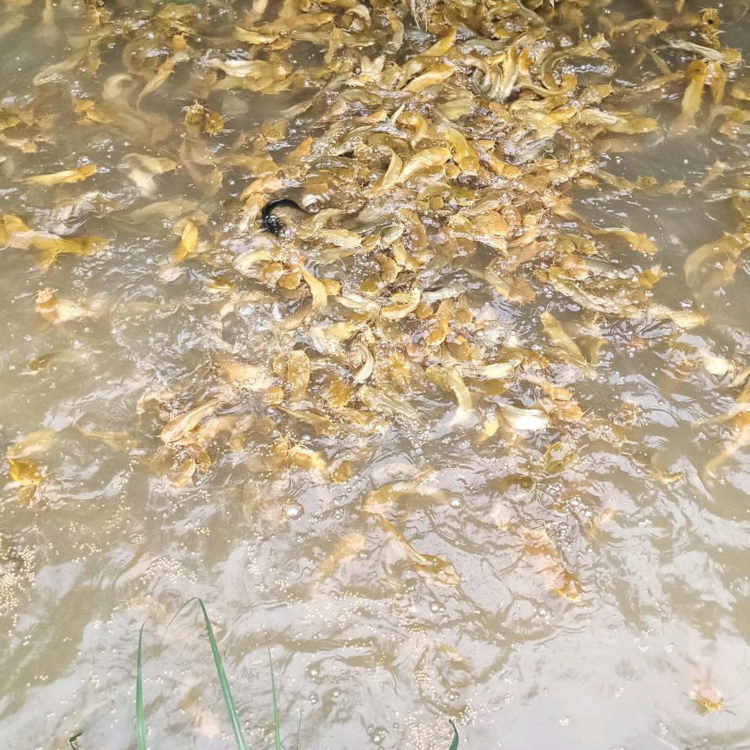 货运，小满，有资源共享，合作共赢。