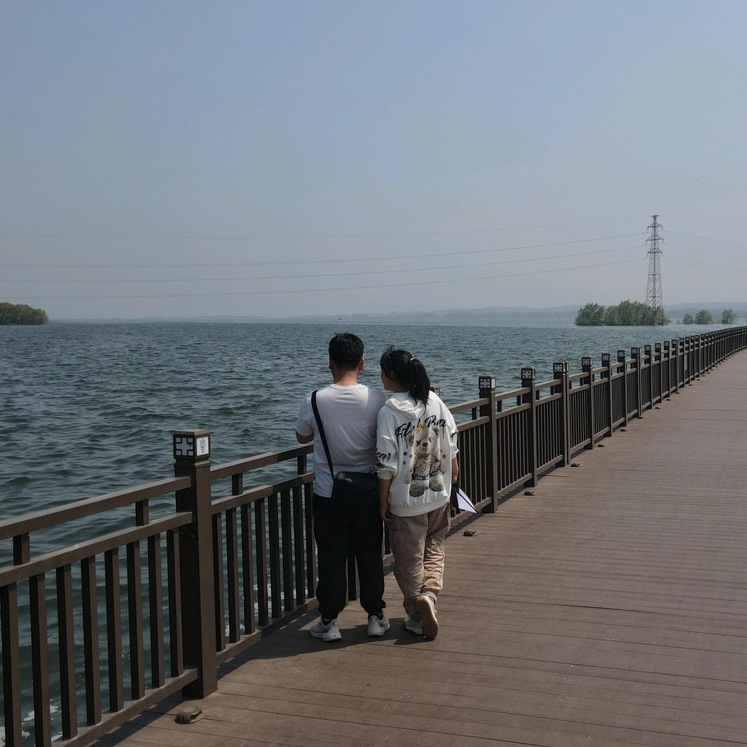 友情岁月，