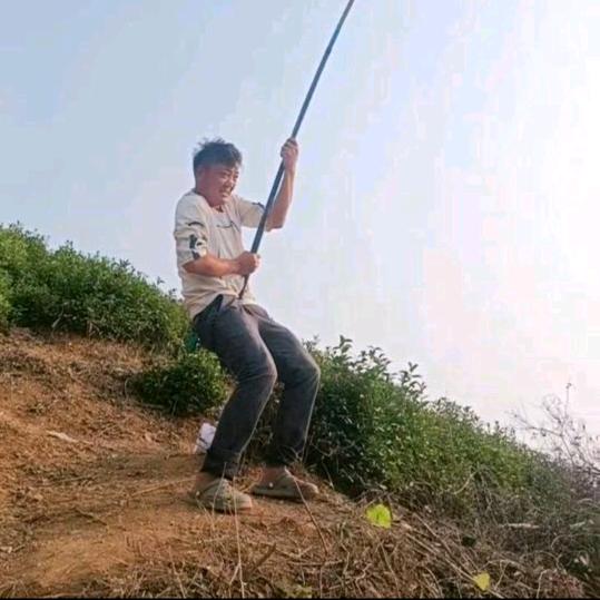 探钓龙哥