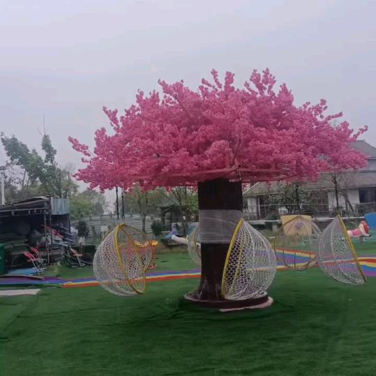 开心每一天。