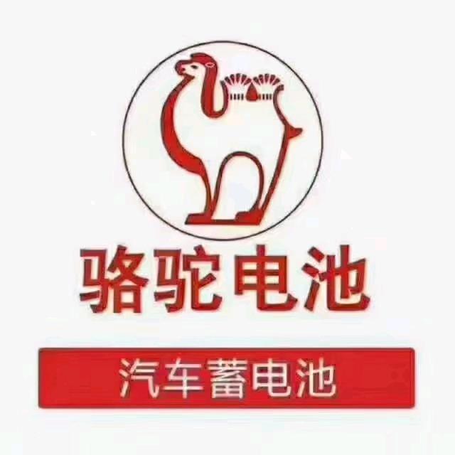 巩义骆驼蓄电池(万洋商贸城店)总店