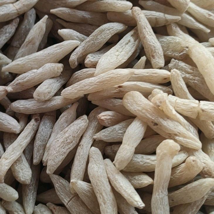 麦冬小端