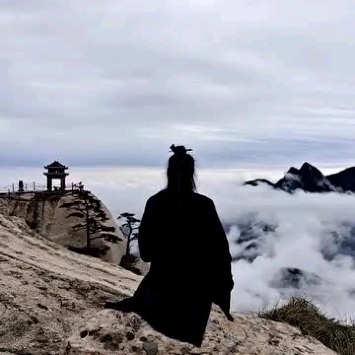 野性对待