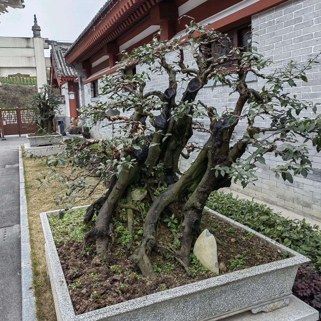 水清云淡✌✌