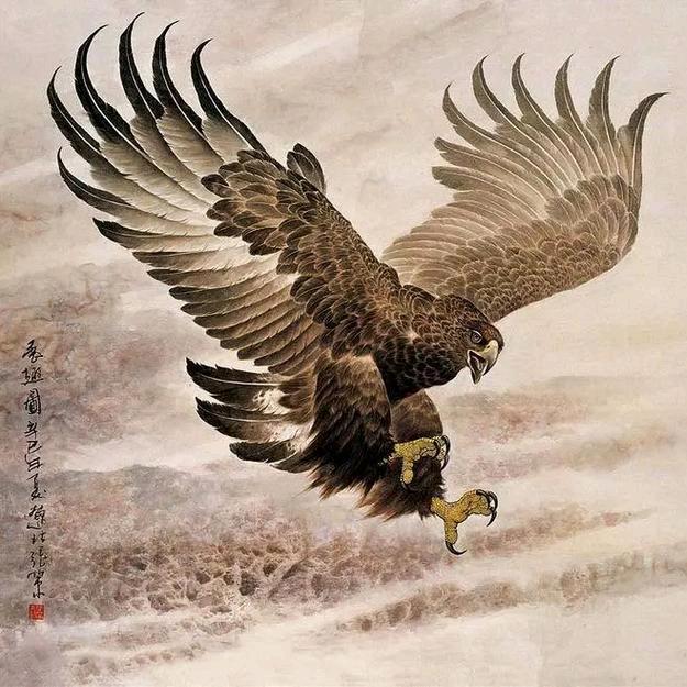 @南门胜哥