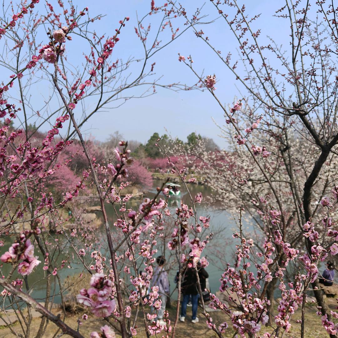 云淡风轻——