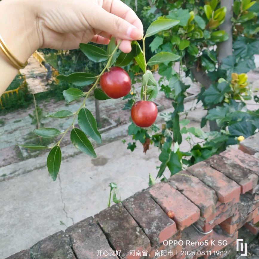 琳琳和单身老爸的日常