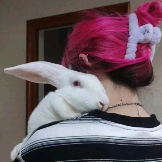 大黑兔奶糖🐇呆