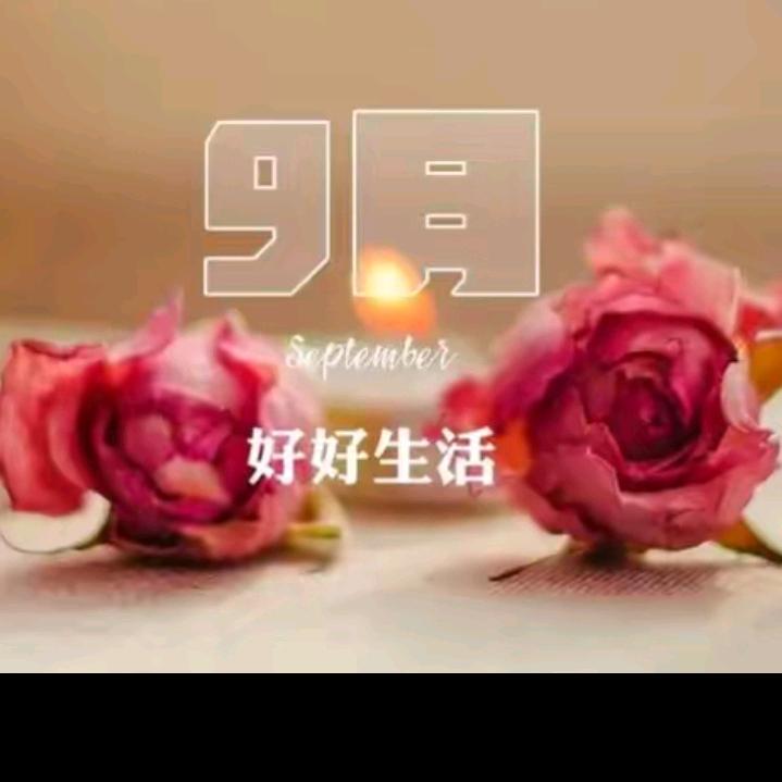 最疼的是我