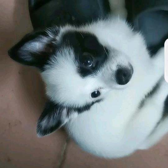 ANSI奇域未来数码店