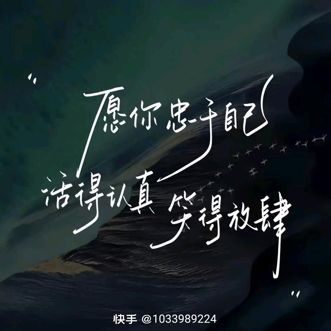 自由的风