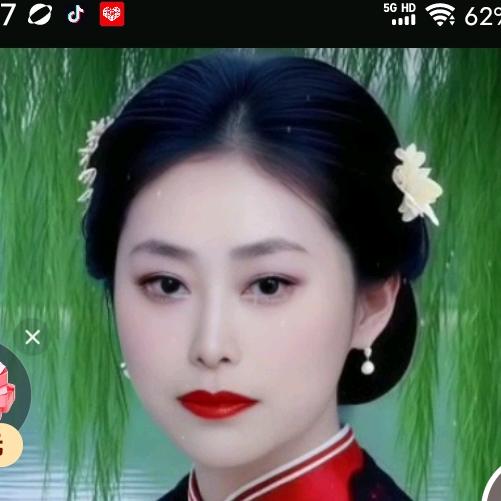柴菊