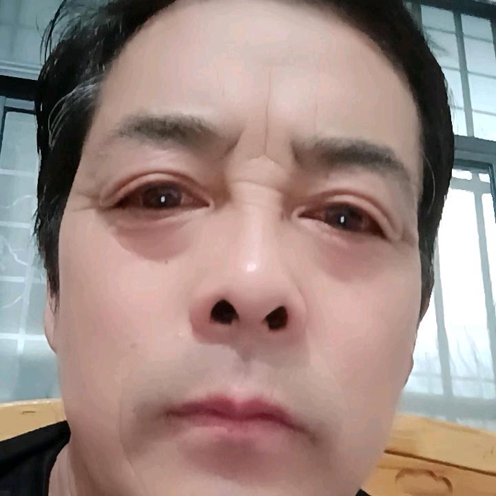 朱哥贴砖