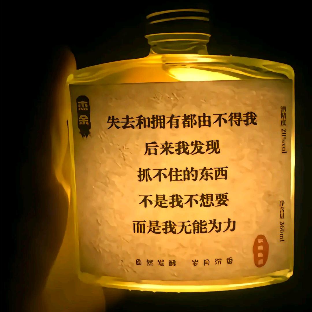 猫猫爱熬夜