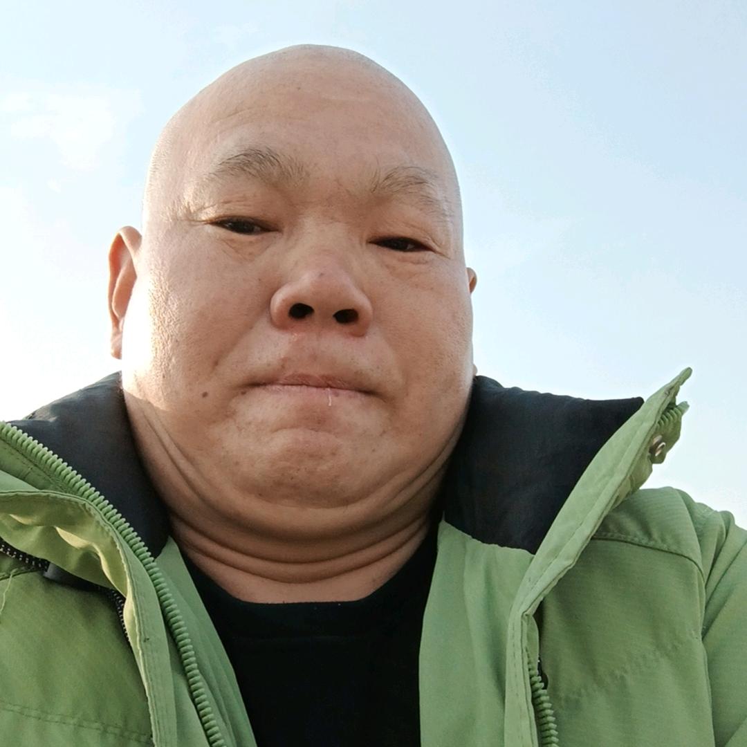 快乐赛鸽