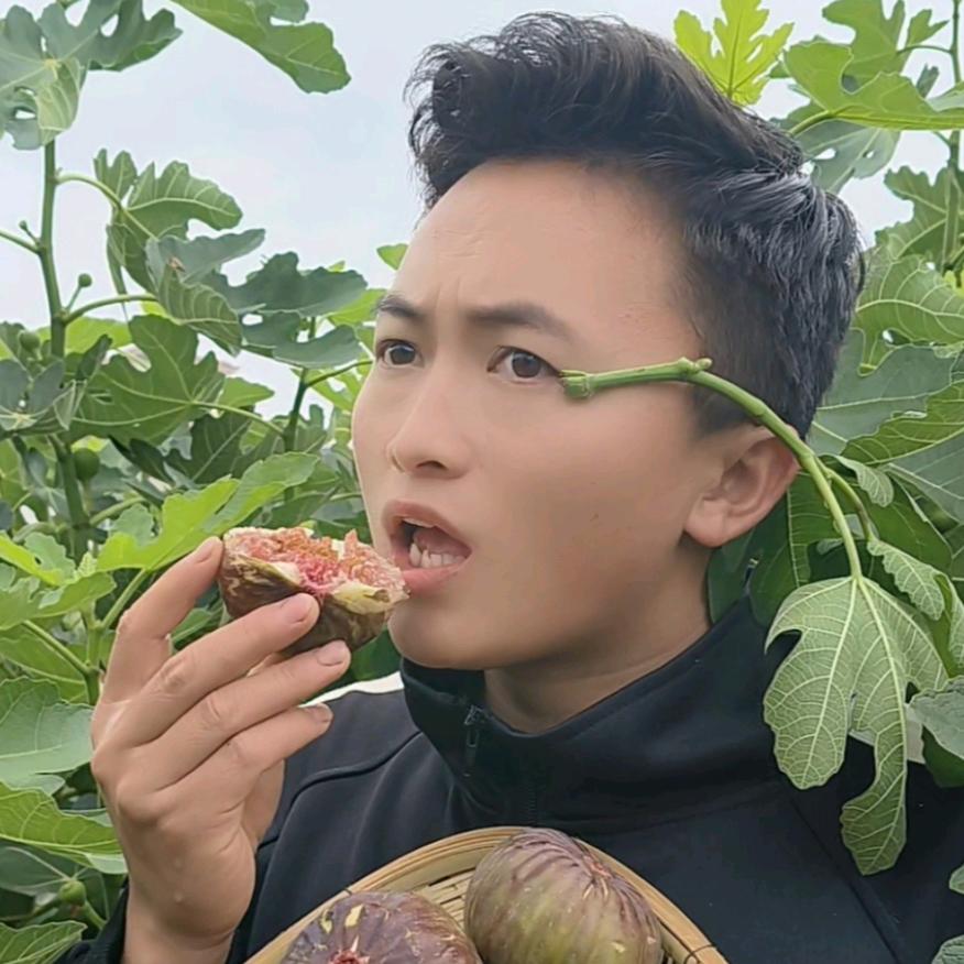 云滇鲜森