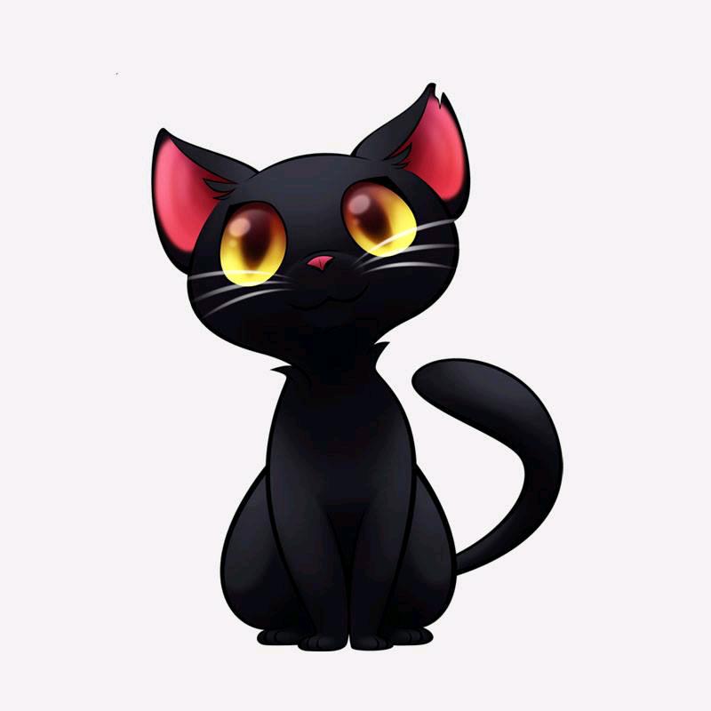 女巫的黑猫🐱