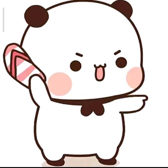 臭🐷🐷