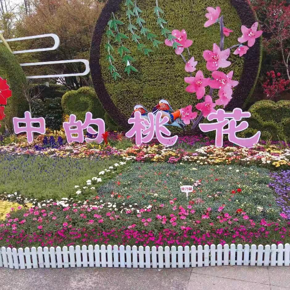 珍惜拥有每一天