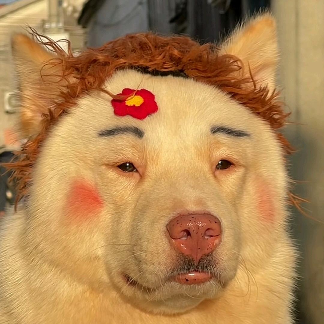 面条🍜
