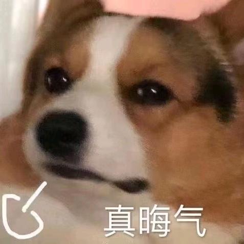 lolm火焰鼠