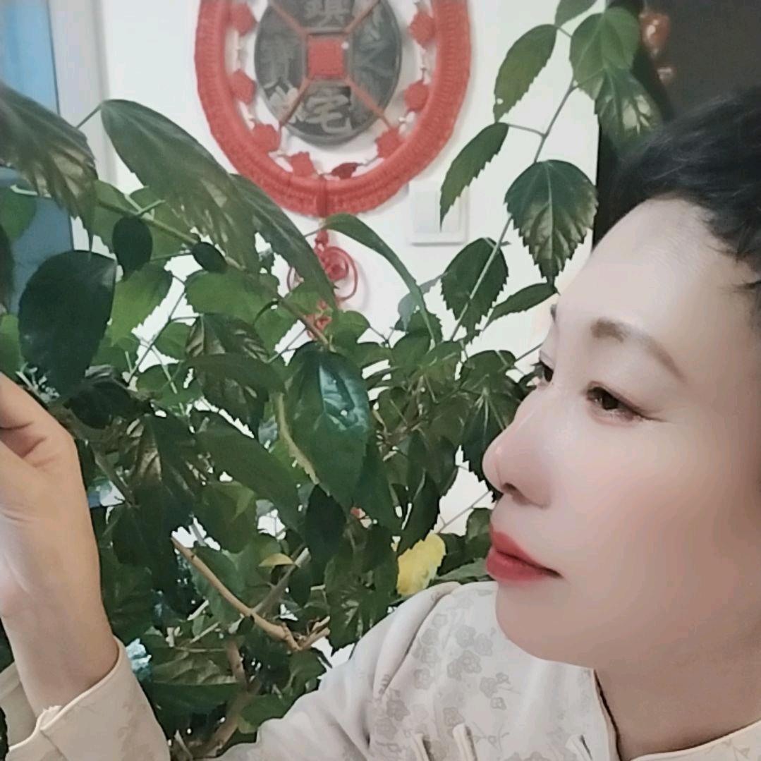 红蜡烛🎤
