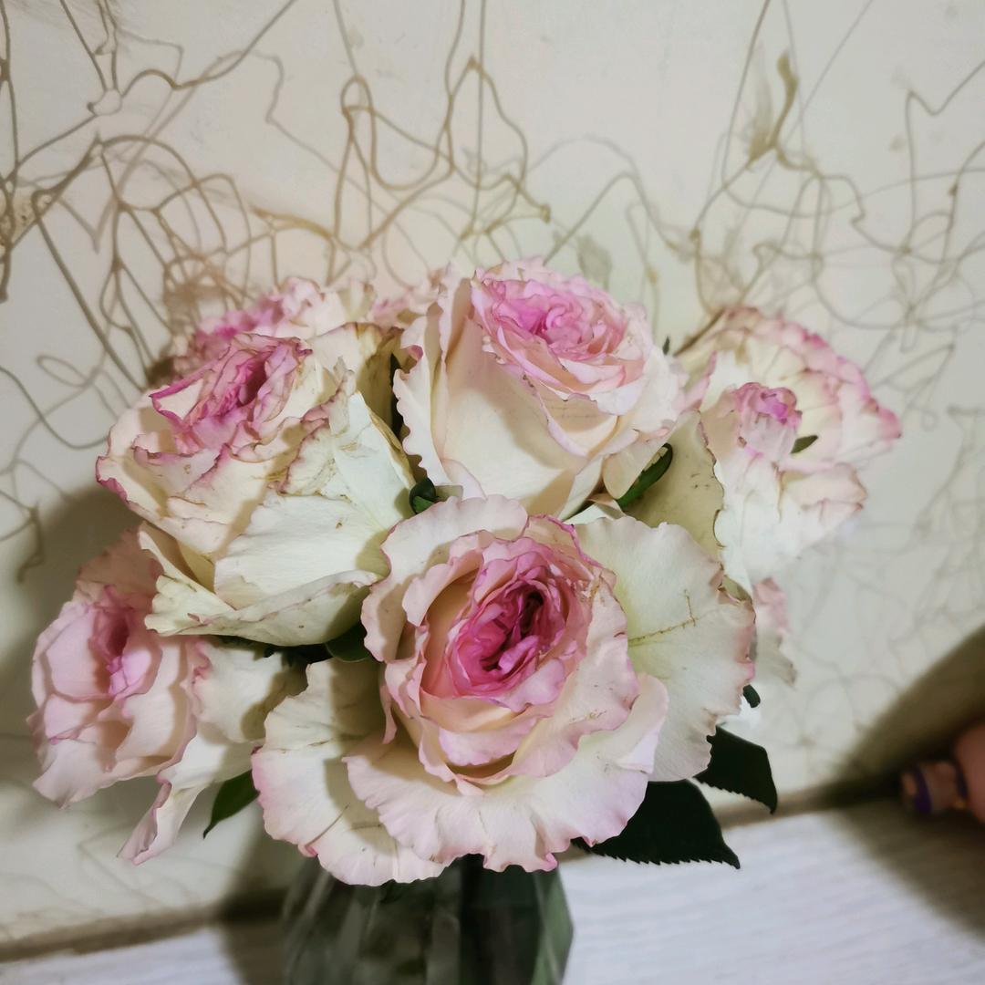 呀呀
