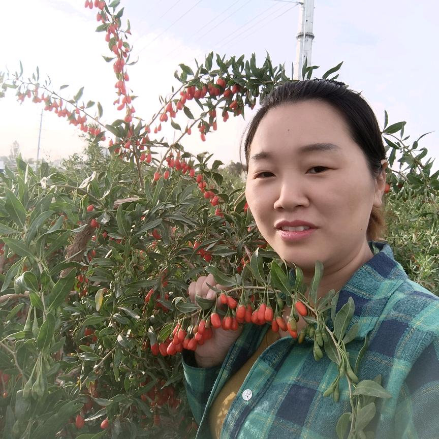 萍萍，