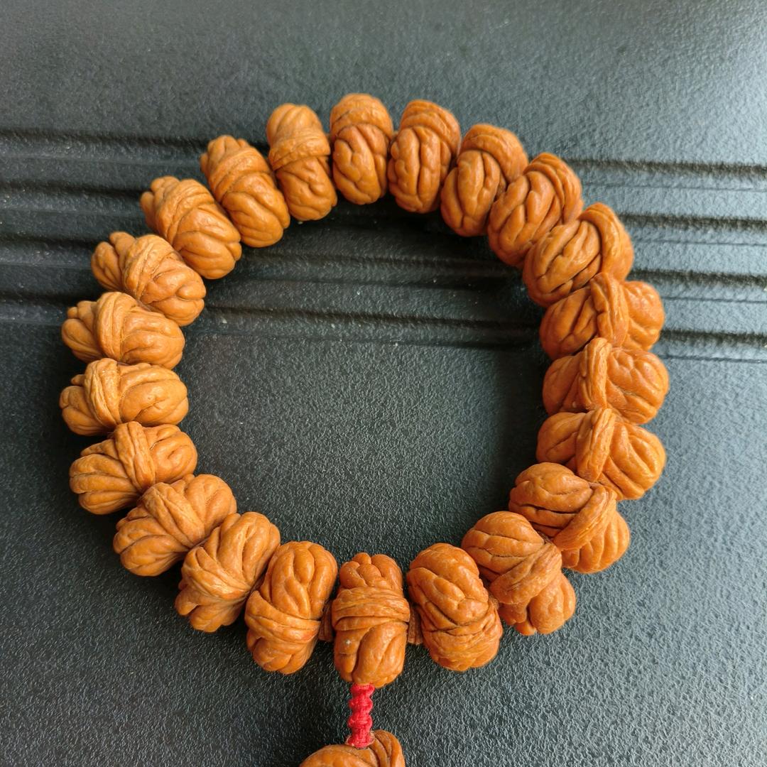 秦岭龙纹（瑄瑄）