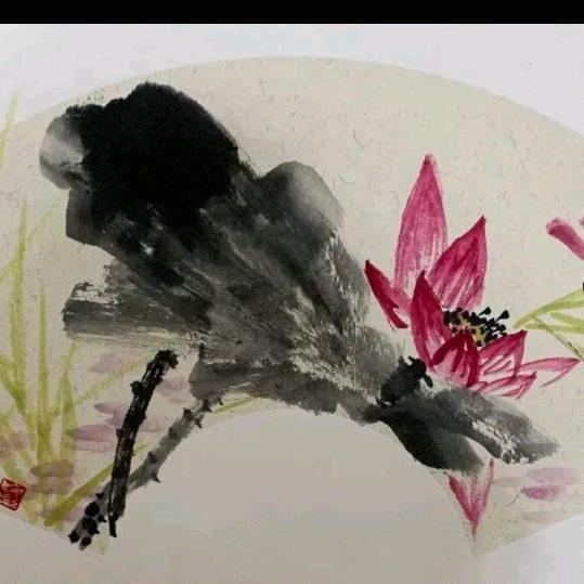 AAA世纪之梅