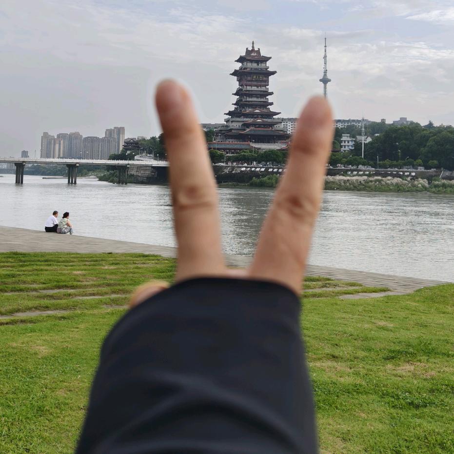 羊姐