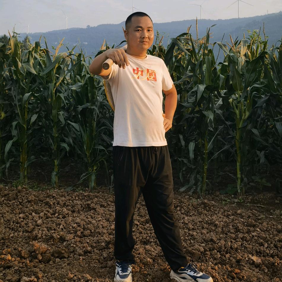 山野盼哥